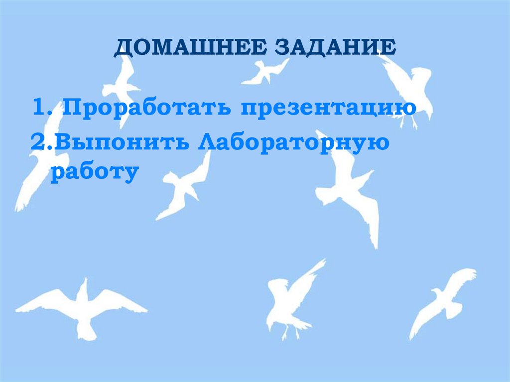 ДОМАШНЕЕ ЗАДАНИЕ