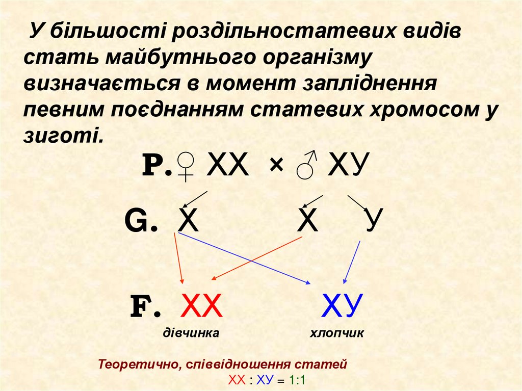 У більшості роздільностатевих видів стать майбутнього організму визначається в момент запліднення певним поєднанням статевих