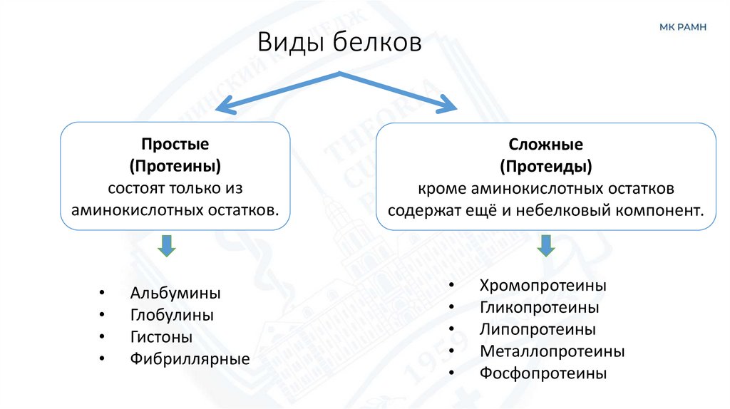 Виды белков