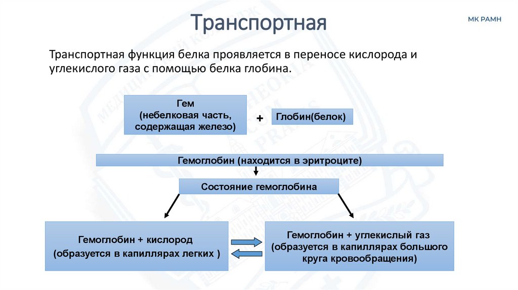 Транспортная