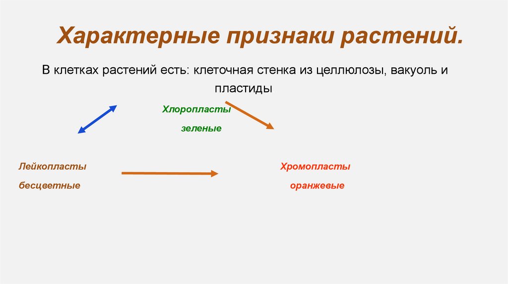 Характерные признаки растений.