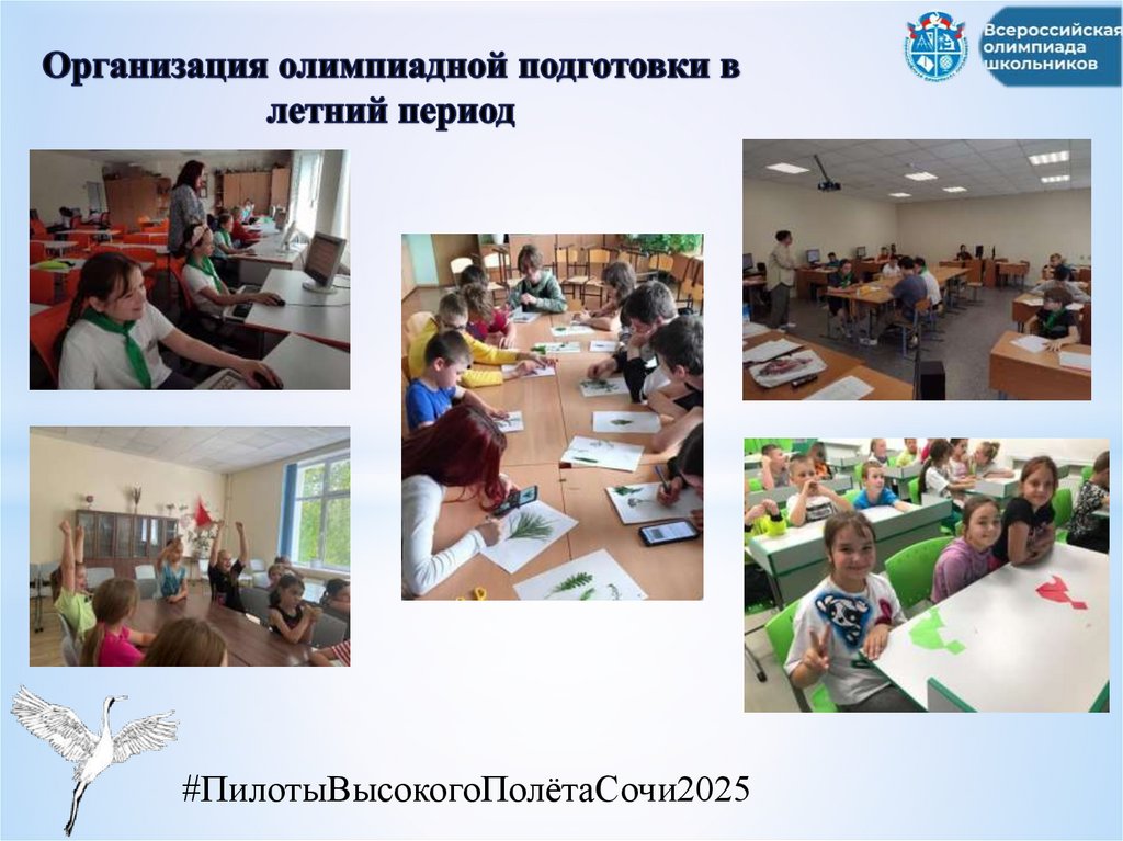 Организация олимпиадной подготовки в летний период