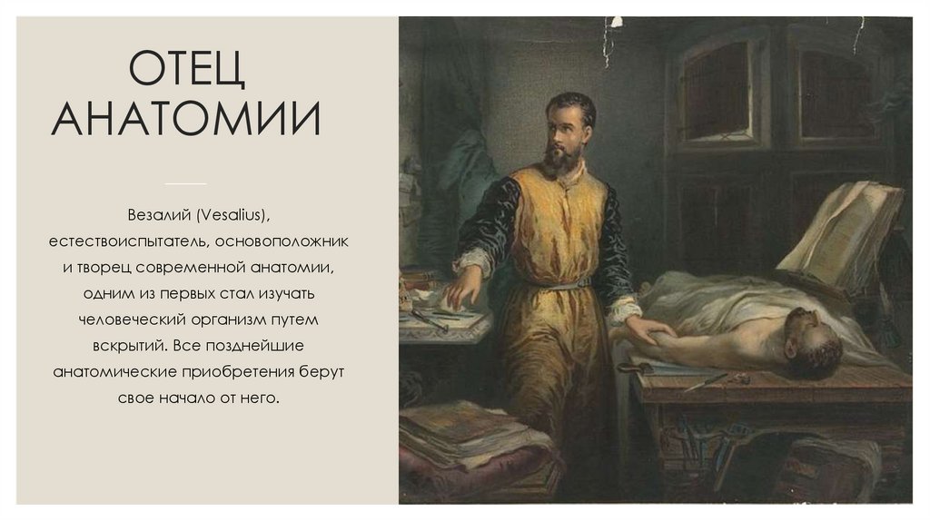 ОТЕЦ АНАТОМИИ