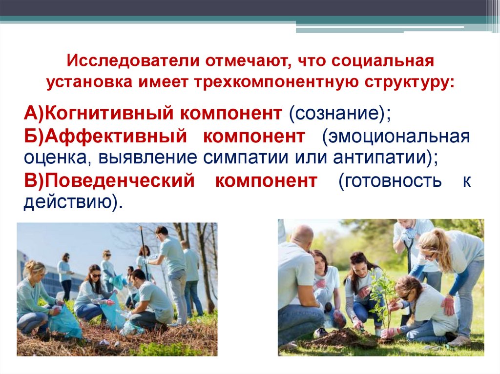 Исследователи отмечают, что социальная установка имеет трехкомпонентную структуру: