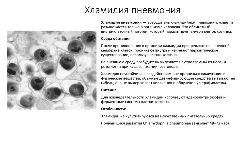 Хламидия пневмония