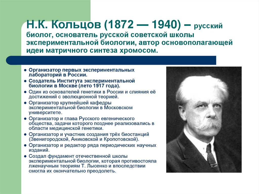 Н.К. Кольцов (1872 — 1940) – русский биолог, основатель русской советской школы экспериментальной биологии, автор