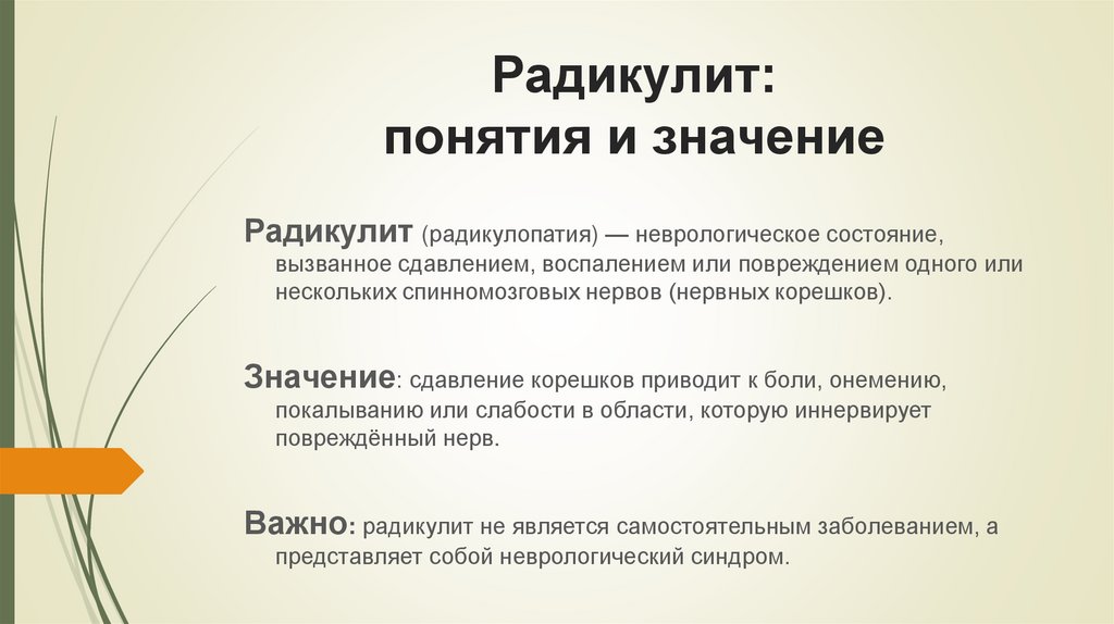 Радикулит: понятия и значение