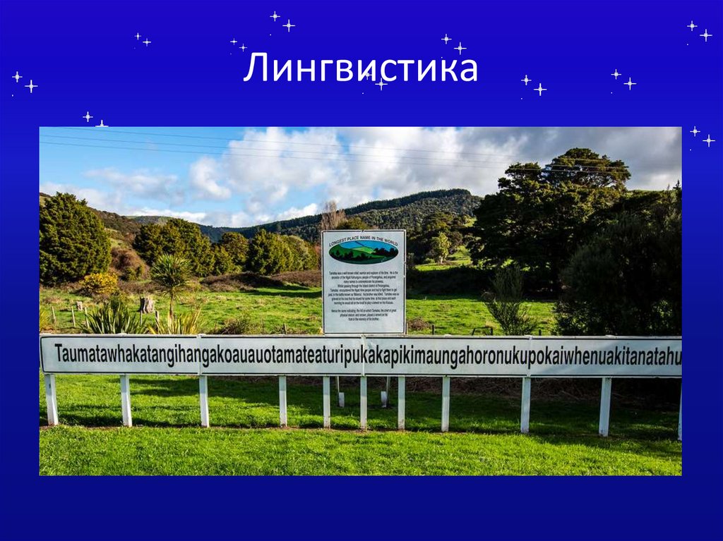 Лингвистика