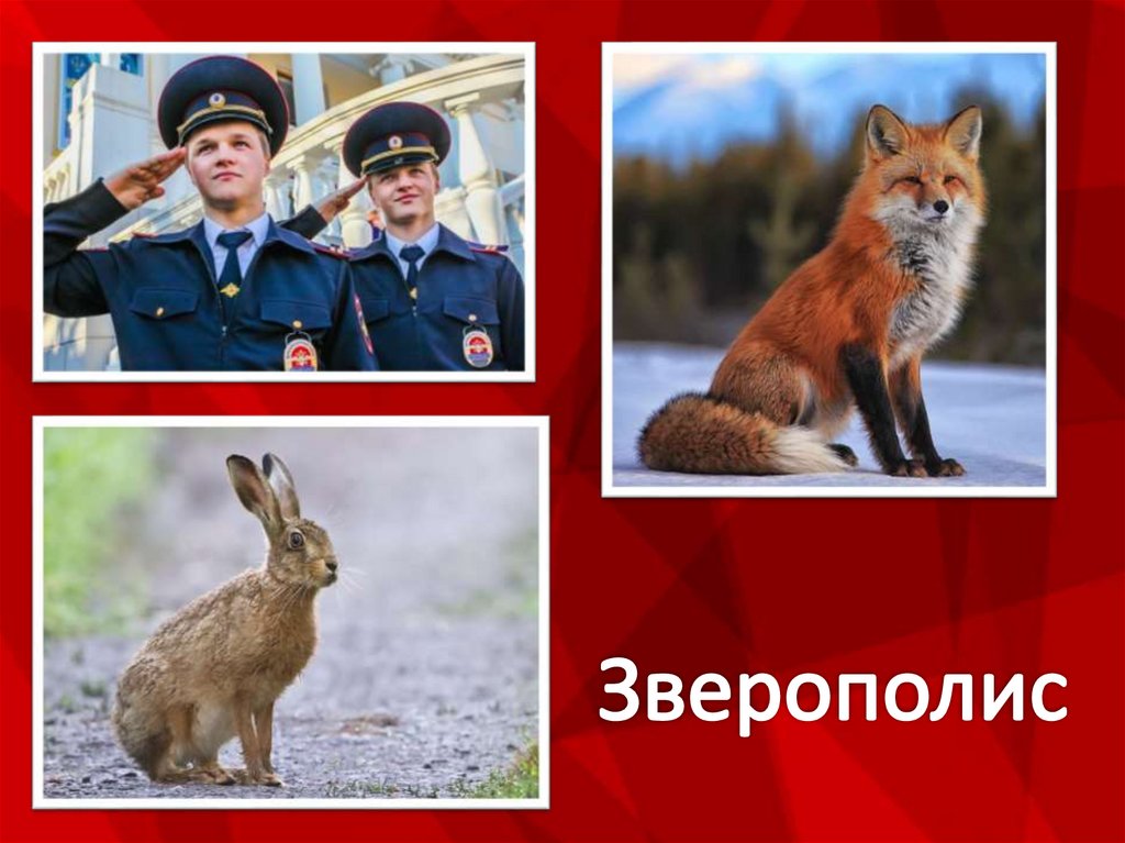 Зверополис