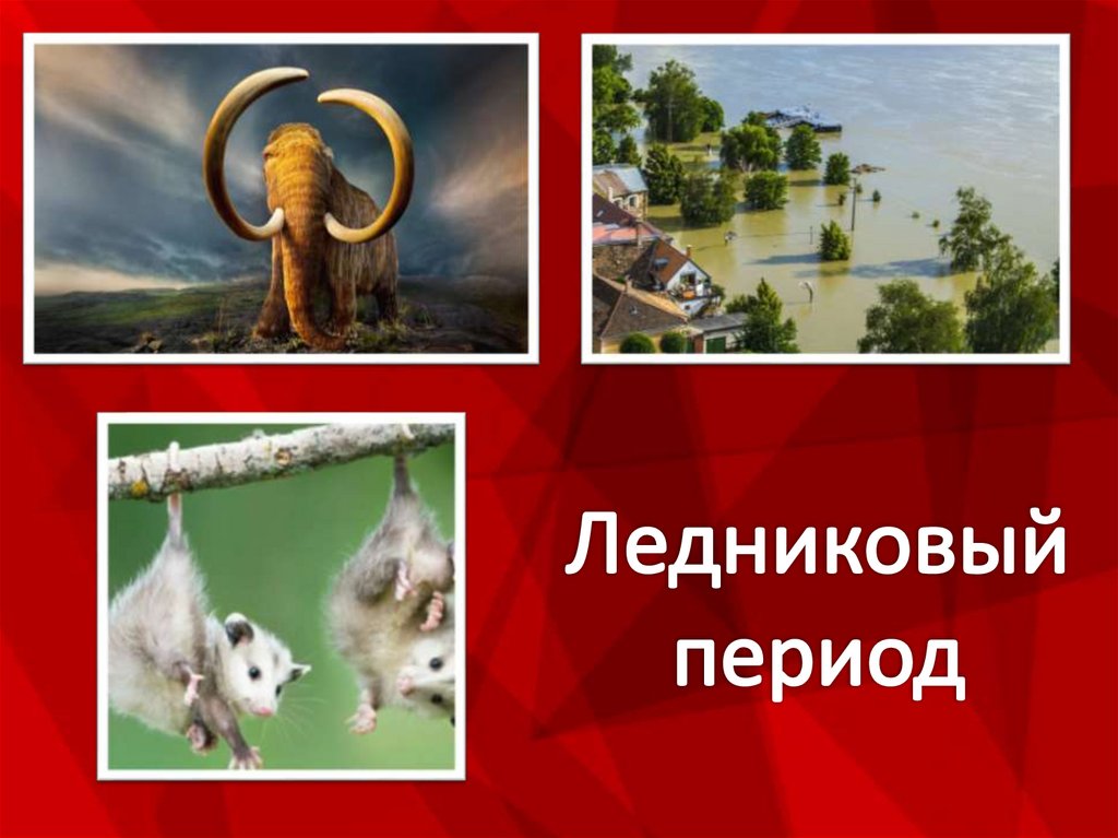 Ледниковый период