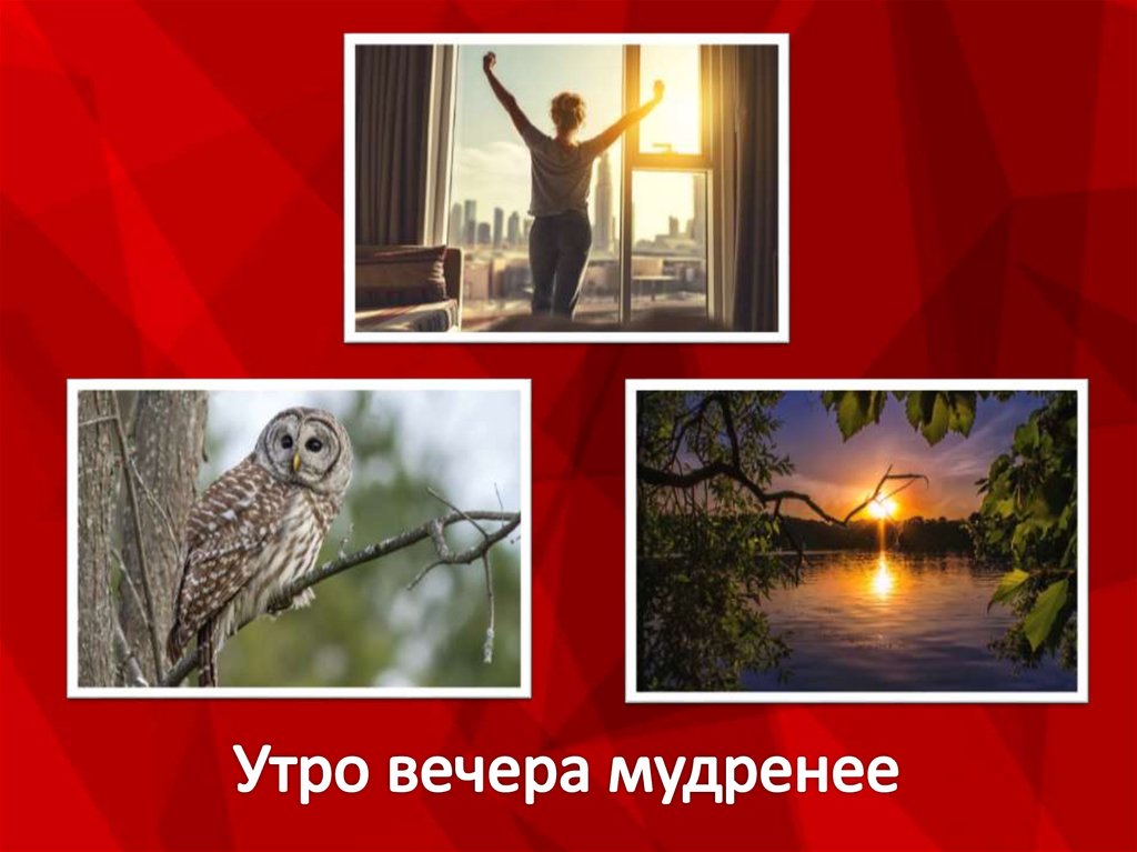 Утро вечера мудренее