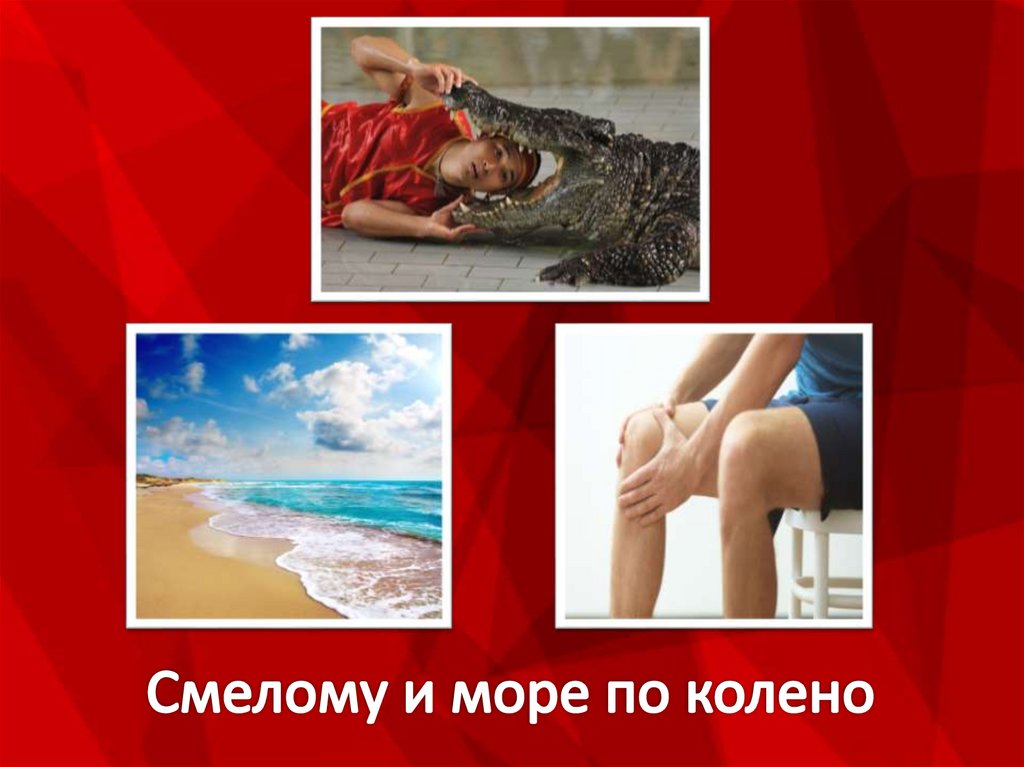 Смелому и море по колено