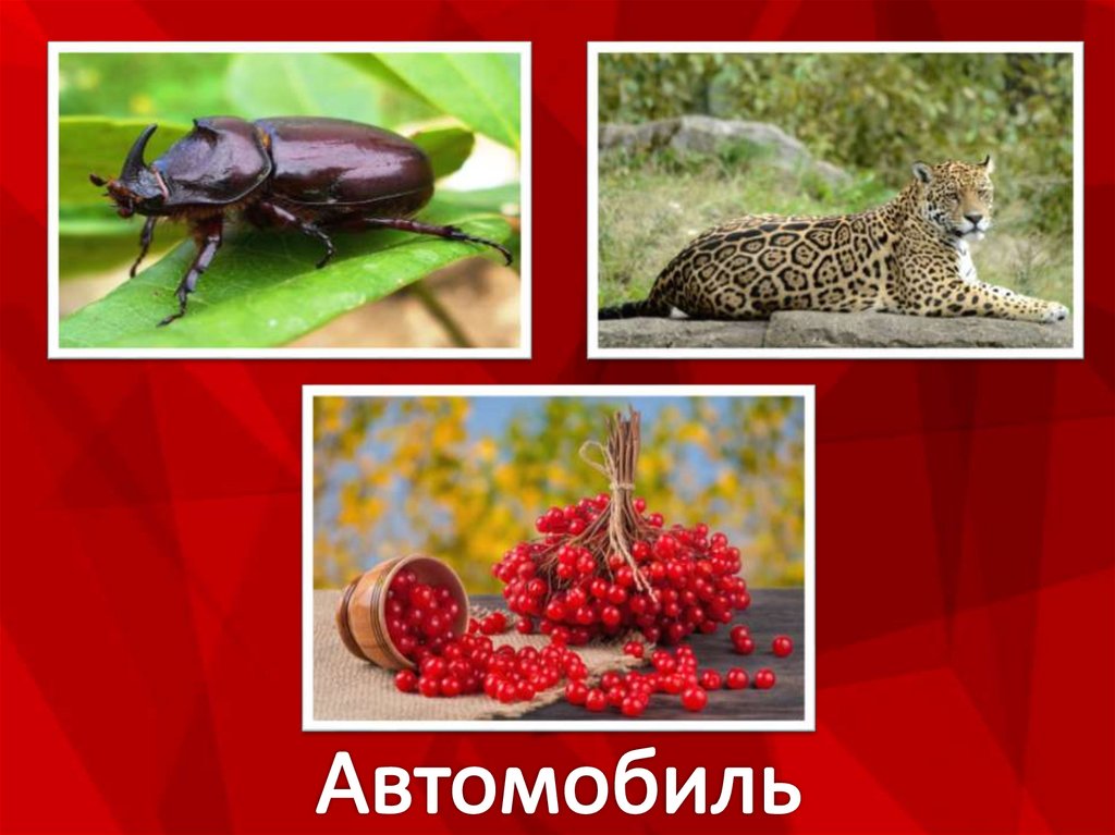 Автомобиль