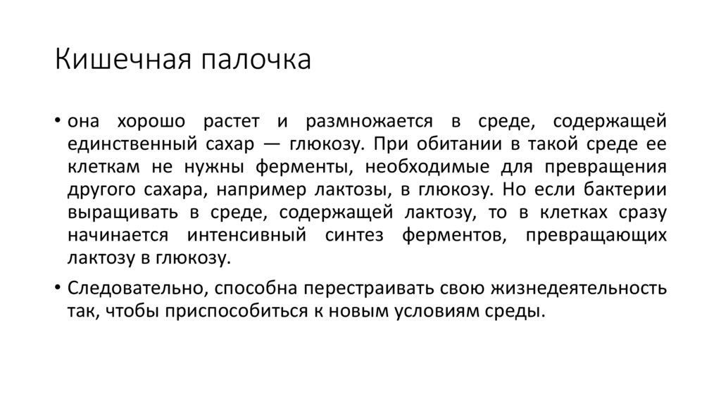 Кишечная палочка