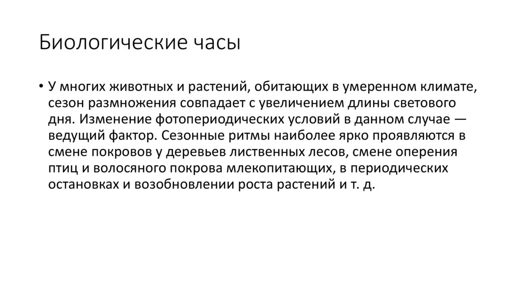 Биологические часы