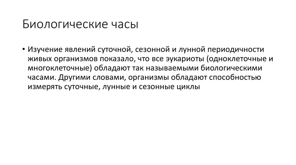 Биологические часы