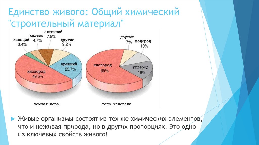 Единство живого: Общий химический "строительный материал"