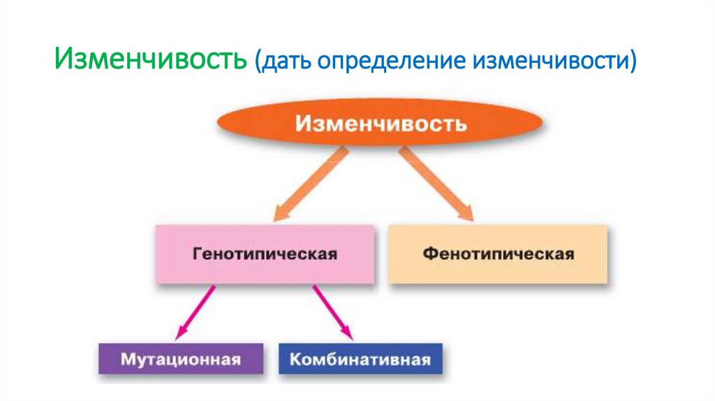 Изменчивость (дать определение изменчивости)