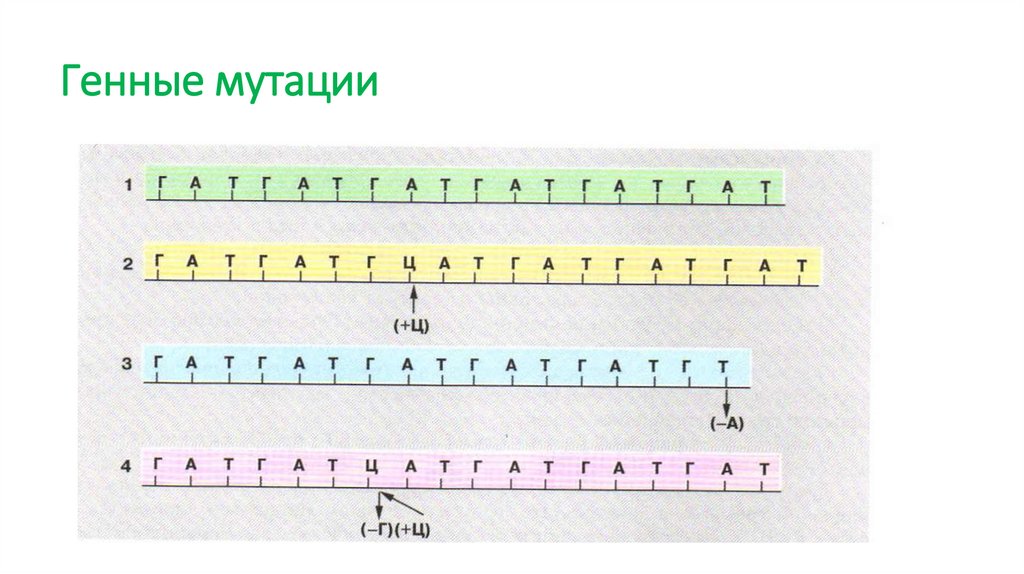 Генные мутации