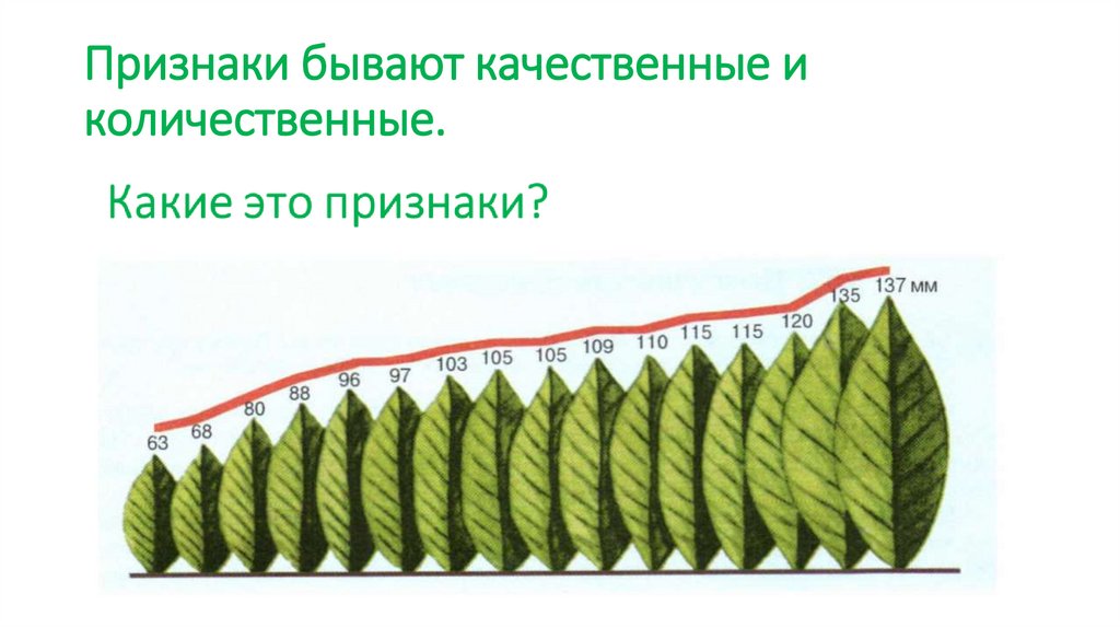 Признаки бывают качественные и количественные.