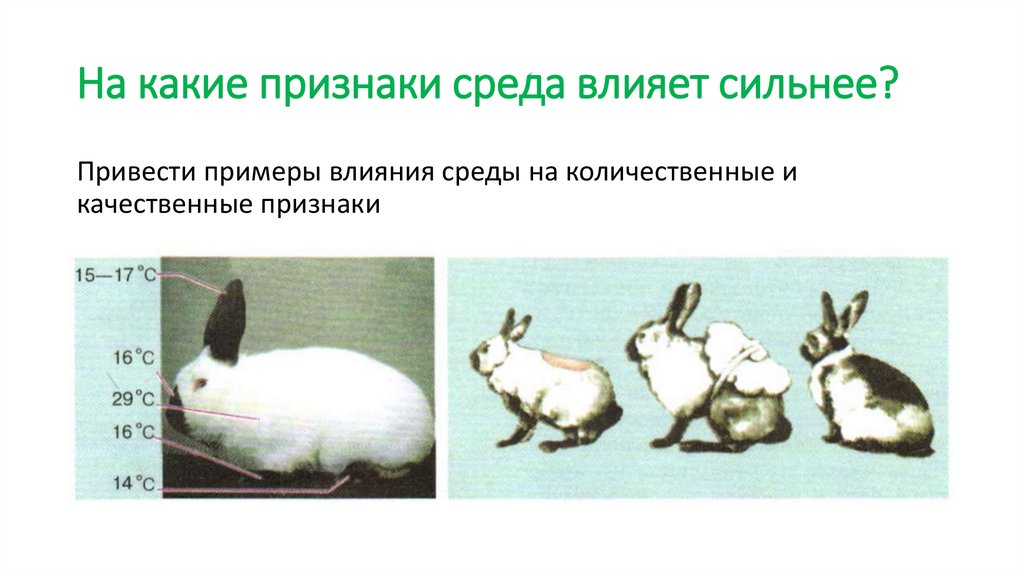 На какие признаки среда влияет сильнее?