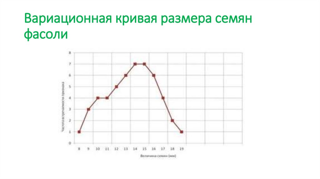 Вариационная кривая размера семян фасоли