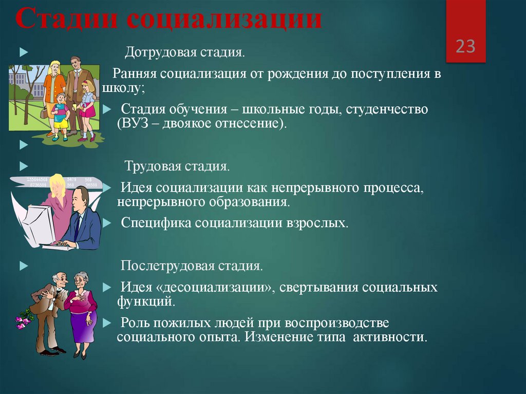 Стадии социализации