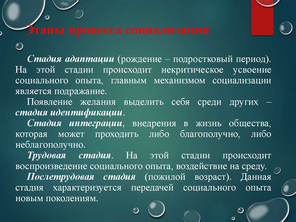 Этапы процесса социализации