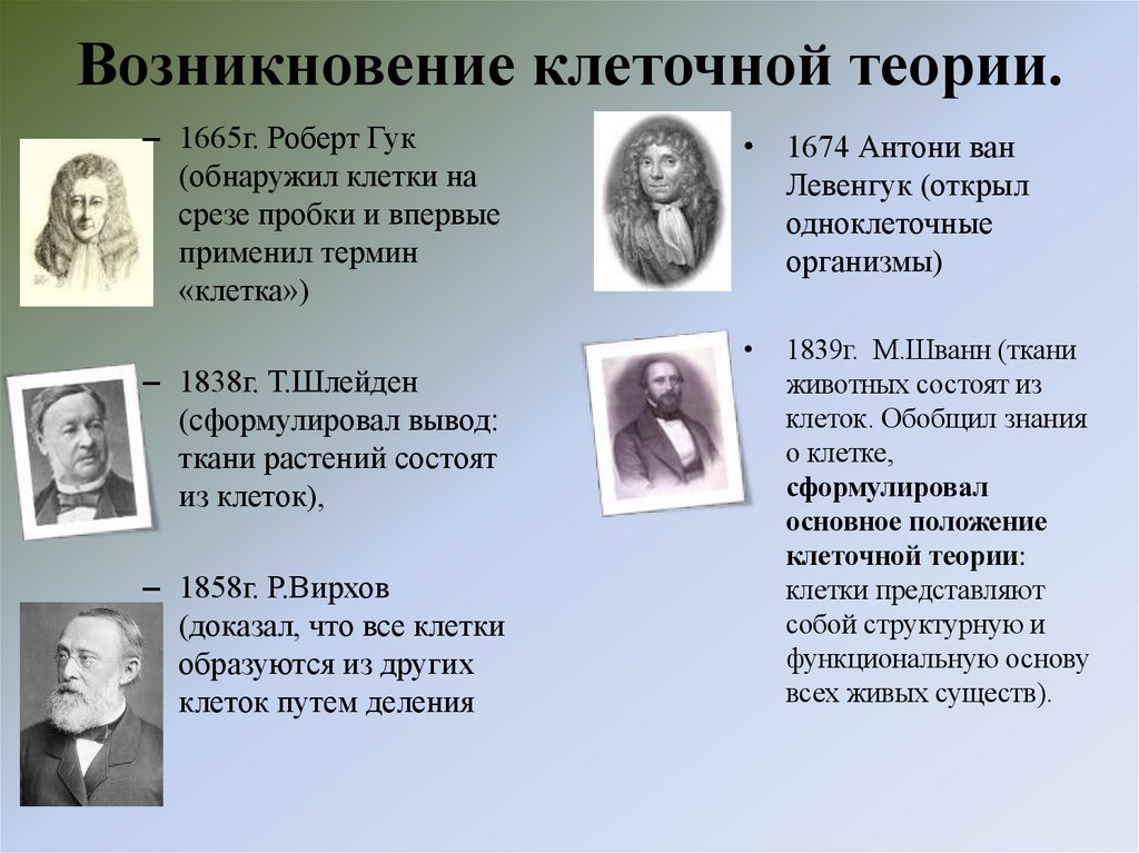 Возникновение клеточной теории.