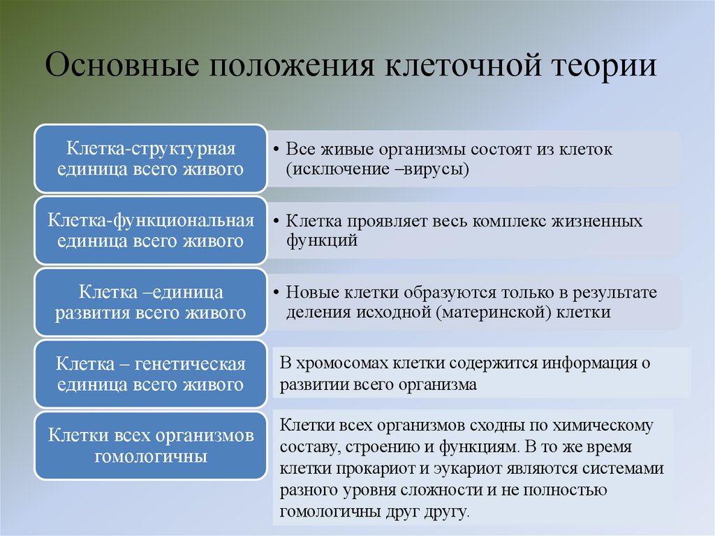 Основные положения клеточной теории