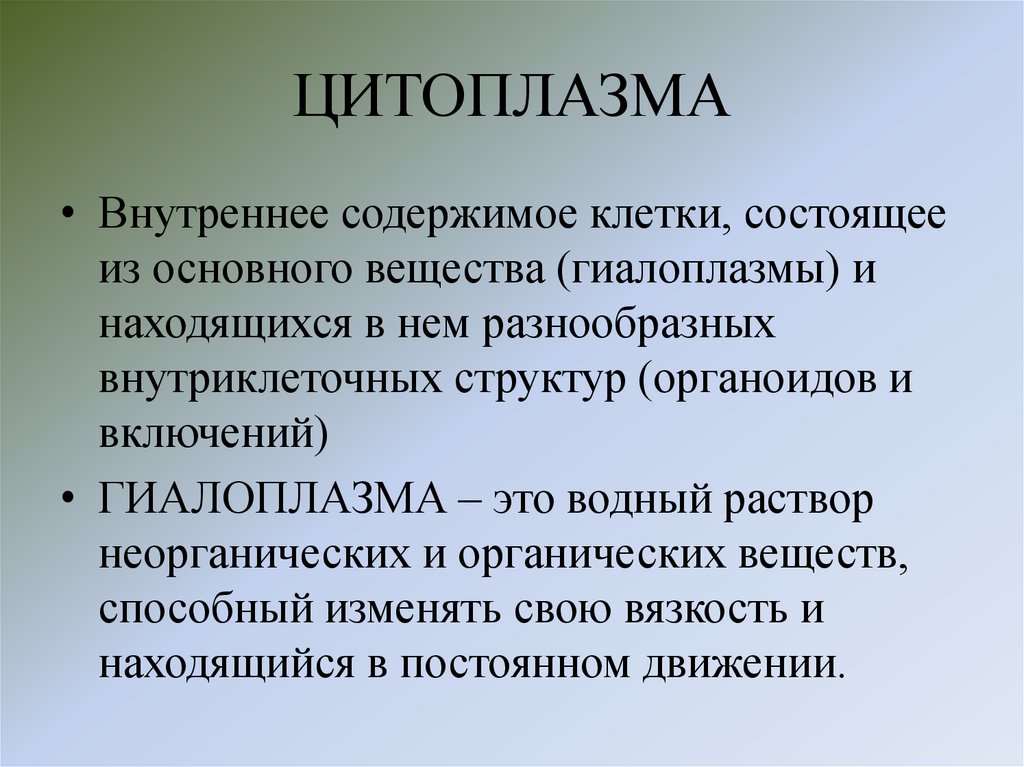 ЦИТОПЛАЗМА