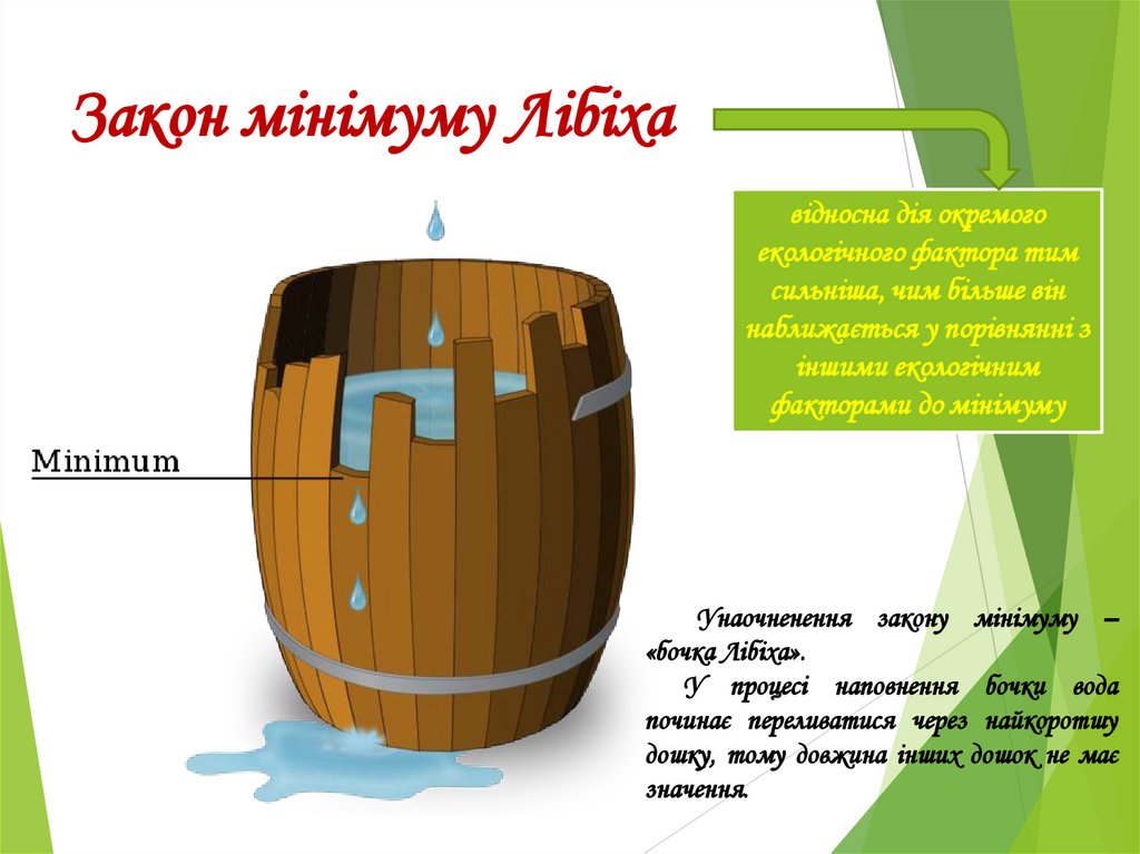 Закон мінімуму Лібіха