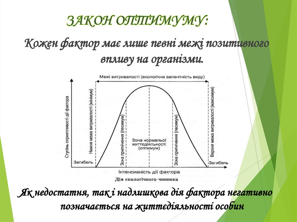ЗАКОН ОПТИМУМУ:
