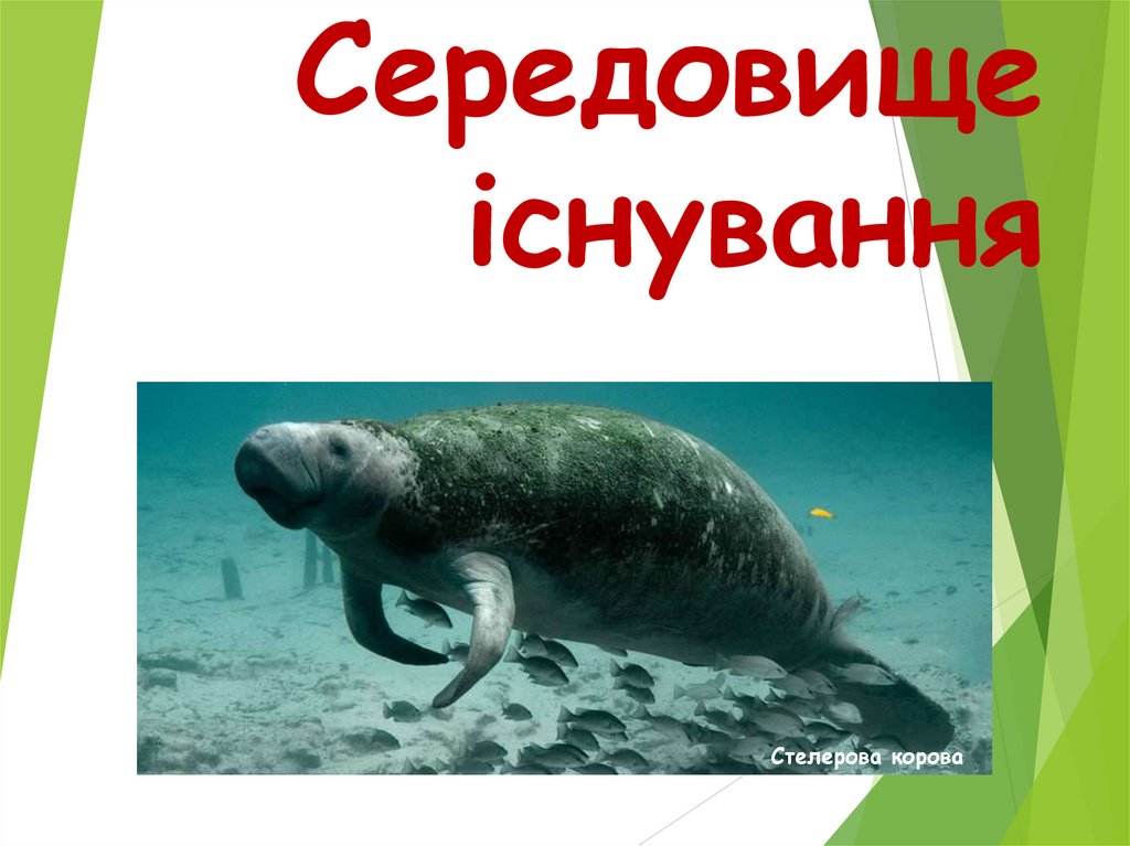 Середовище існування