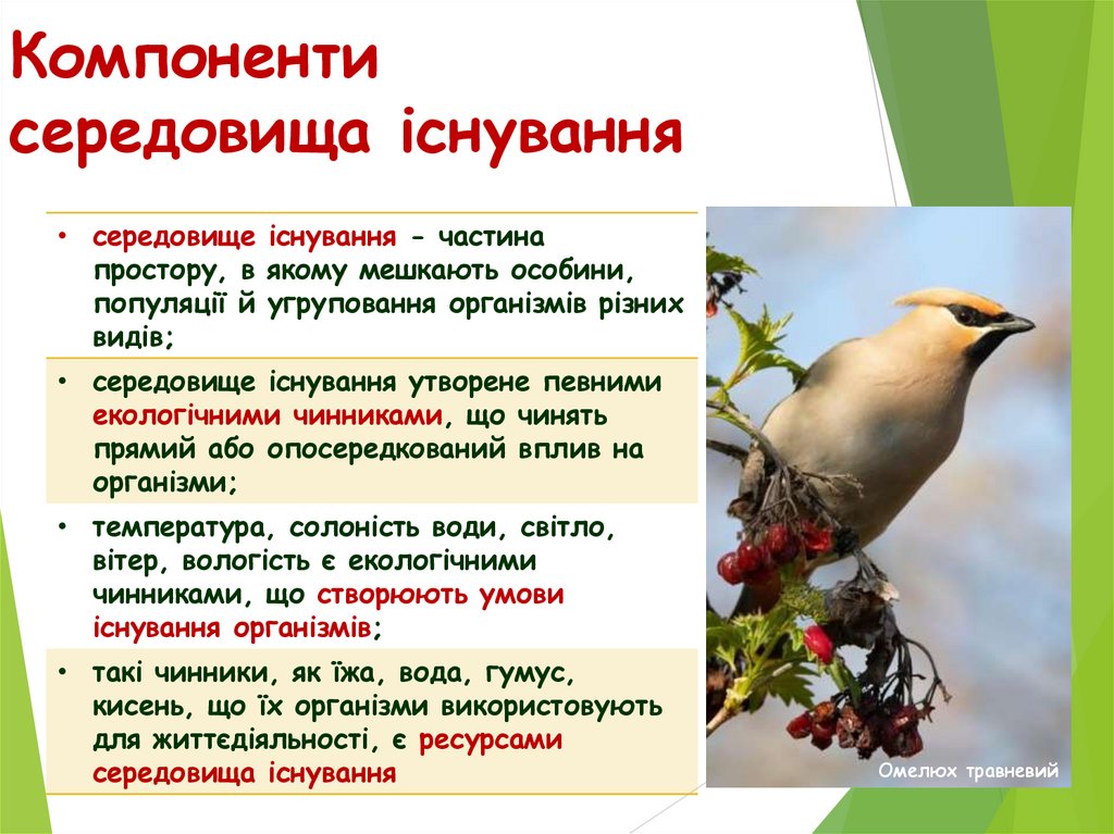 Компоненти середовища існування