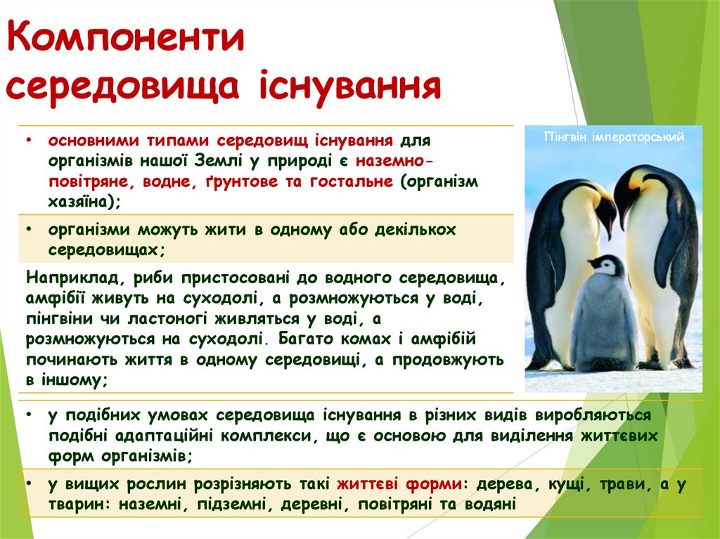 Компоненти середовища існування