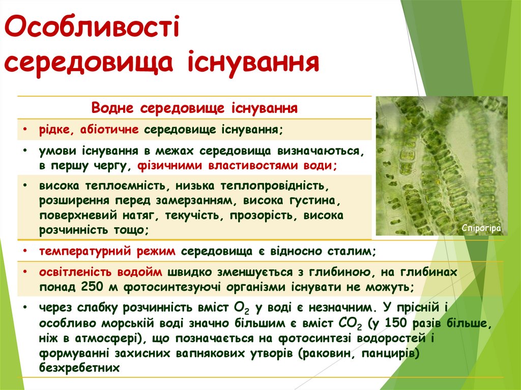 Особливості середовища існування