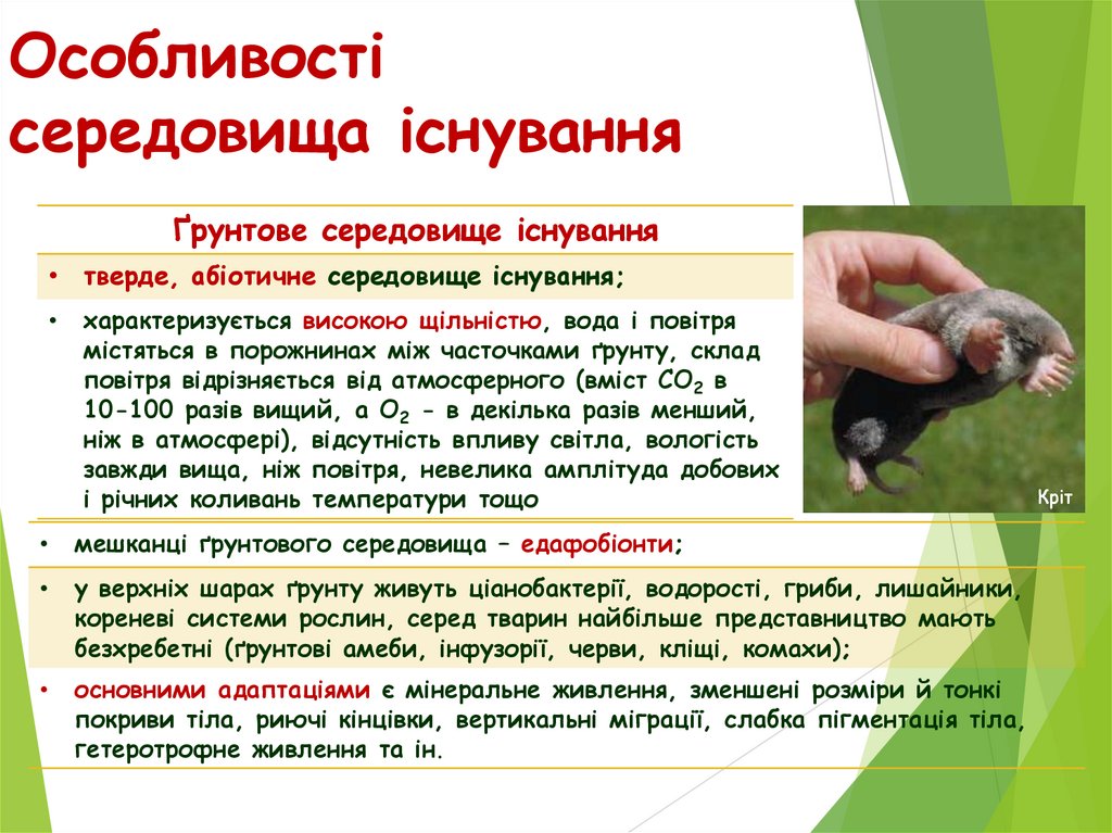 Особливості середовища існування