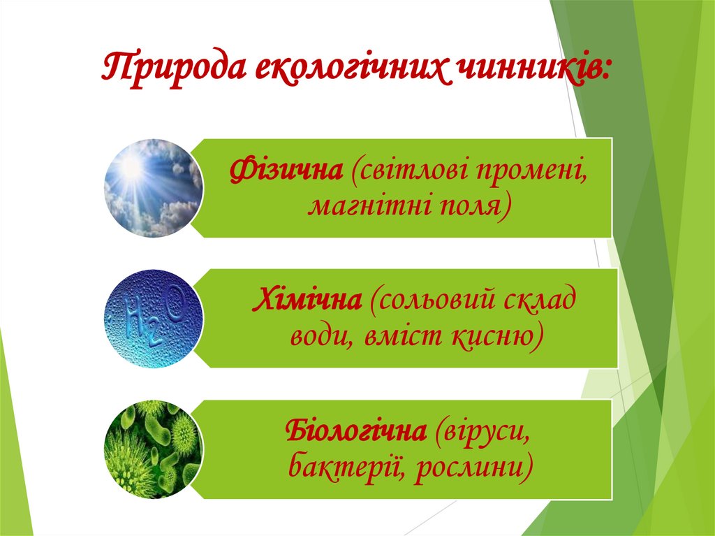 Природа екологічних чинників: