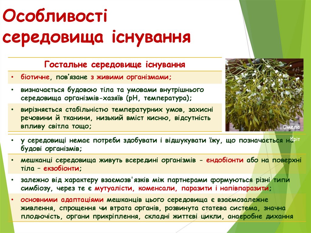 Особливості середовища існування