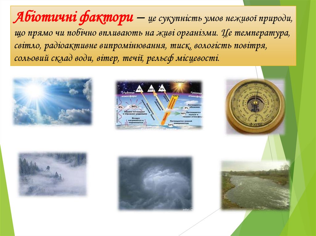 Абіотичні фактори – це сукупність умов неживої природи, що прямо чи побічно впливають на живі організми. Це температура,
