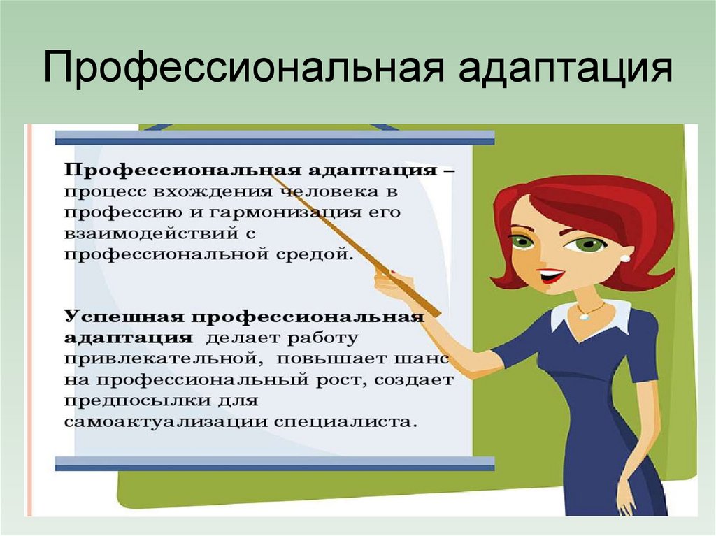 Профессиональная адаптация
