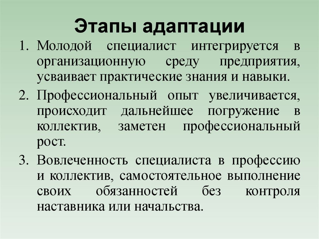 Этапы адаптации