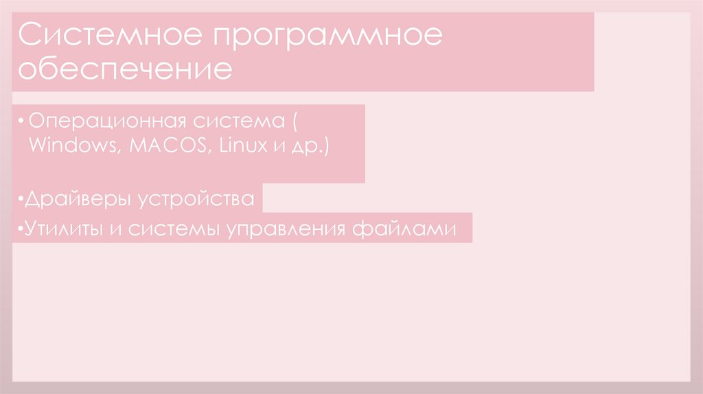 Системное программное обеспечение