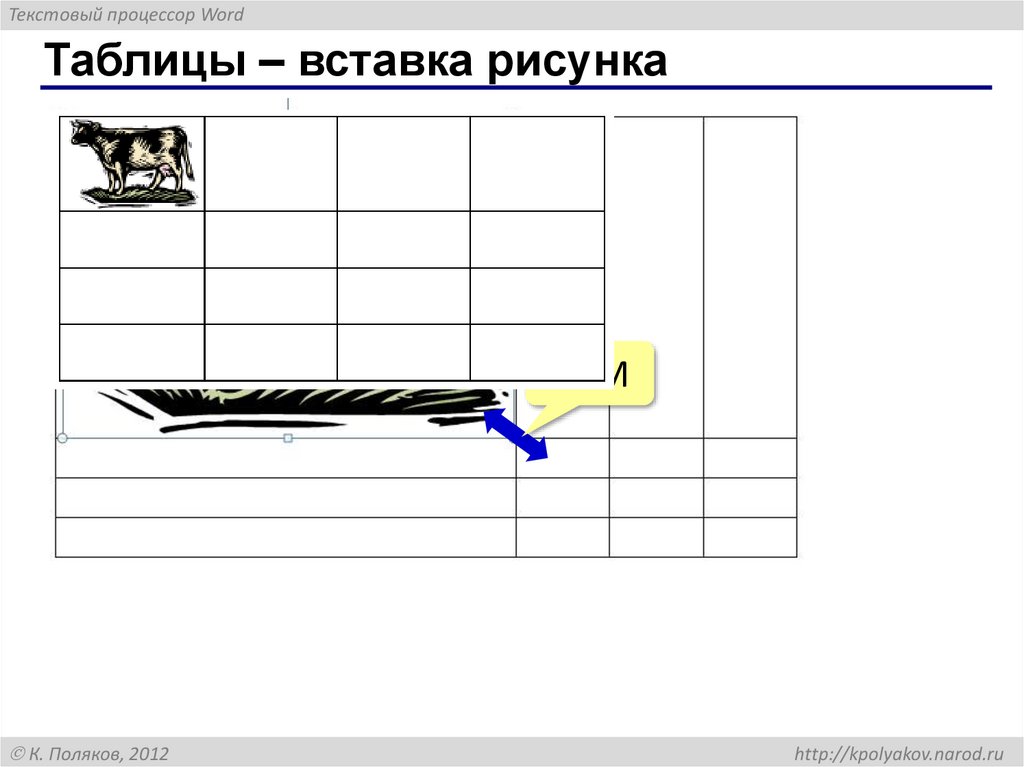 Таблицы – вставка рисунка