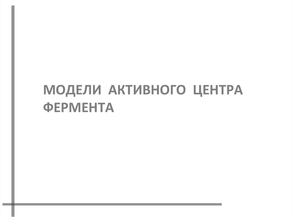 МОДЕЛИ АКТИВНОГО ЦЕНТРА ФЕРМЕНТА
