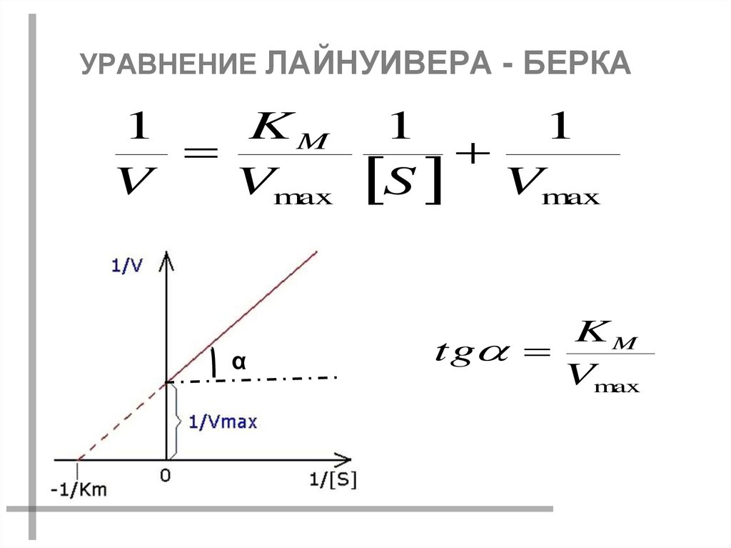 УРАВНЕНИЕ ЛАЙНУИВЕРА - БЕРКА