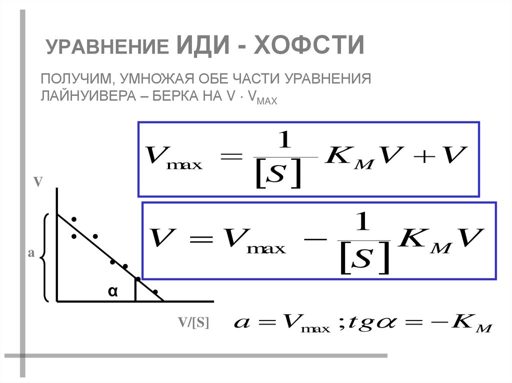 УРАВНЕНИЕ ИДИ - ХОФСТИ