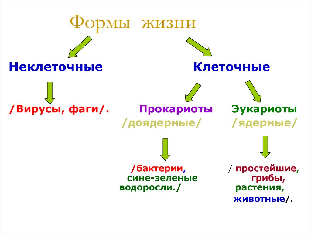 Формы жизни