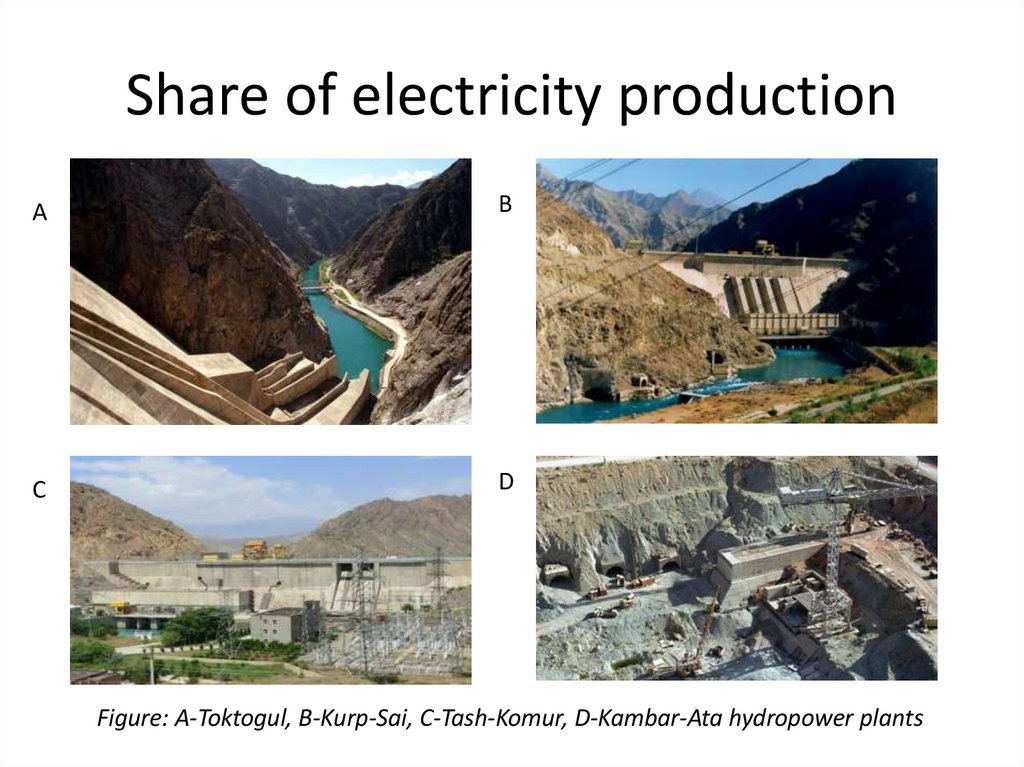 Share of electricity production